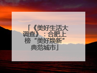 《美好生活大调查》：合肥上榜“美好焕新”典范城市