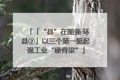 「“县”在图强·环县②」以三个第一挺起强工业“硬脊梁”