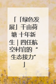 「绿色发展」千亩荷塘 十年新生｜四任航空村官的“生态接力”