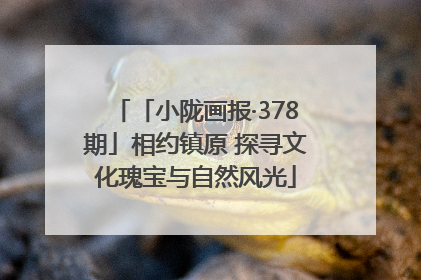 「小陇画报·378期」相约镇原 探寻文化瑰宝与自然风光