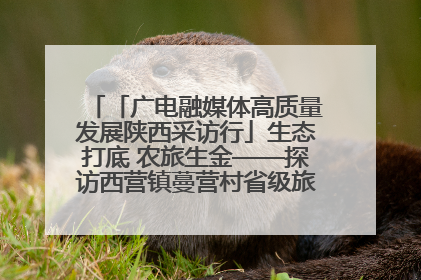 「广电融媒体高质量发展陕西采访行」生态打底 农旅生金——探访西营镇蔓营村省级旅游示范村的振兴密码