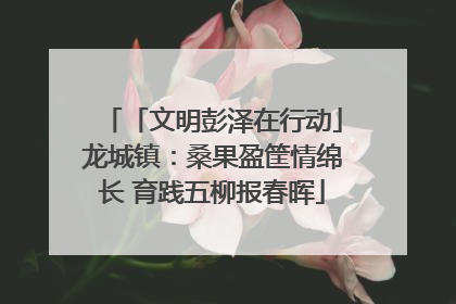 「文明彭泽在行动」龙城镇：桑果盈筐情绵长 育践五柳报春晖