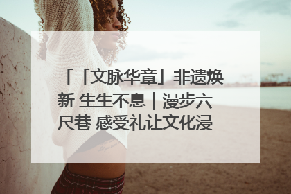 「文脉华章」非遗焕新 生生不息｜漫步六尺巷 感受礼让文化浸润的“巷”往生活