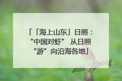 「海上山东」日照：“中国对虾” 从日照“游”向沿海各地