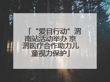 “爱目行动”渭南站活动举办 京渭医疗合作助力儿童视力保护