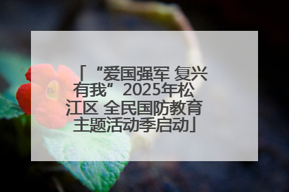 “爱国强军 复兴有我”2025年松江区 全民国防教育主题活动季启动