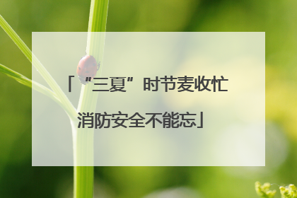 “三夏”时节麦收忙 消防安全不能忘
