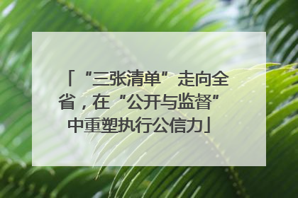 “三张清单”走向全省，在“公开与监督”中重塑执行公信力