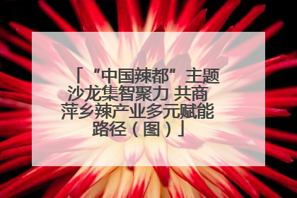 “中国辣都”主题沙龙集智聚力 共商萍乡辣产业多元赋能路径（图）