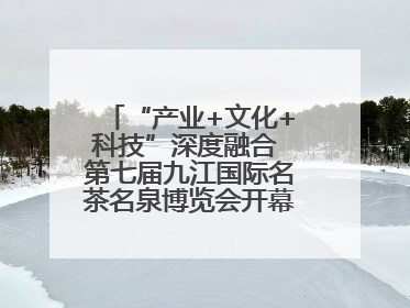 “产业+文化+科技”深度融合 第七届九江国际名茶名泉博览会开幕（组图）