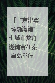 “京津冀环渤海湾”七城市龙舟邀请赛在秦皇岛举行