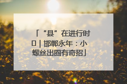 “县”在进行时⑬｜邯郸永年：小螺丝出圈有奇招