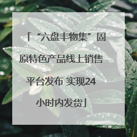 “六盘丰物集”固原特色产品线上销售平台发布 实现24小时内发货