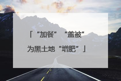 “加餐”“盖被” 为黑土地“增肥”
