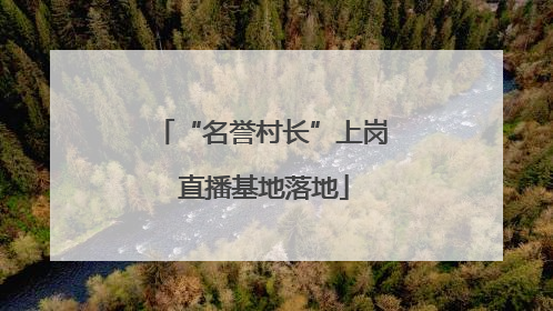 “名誉村长”上岗 直播基地落地