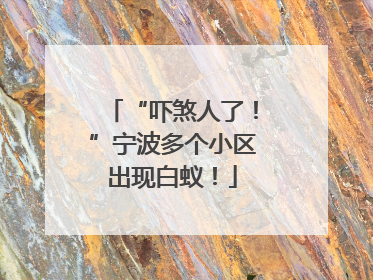 “吓煞人了！”宁波多个小区出现白蚁！