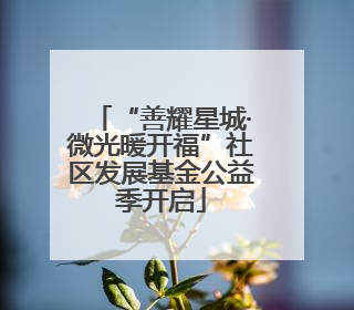 “善耀星城·微光暖开福”社区发展基金公益季开启