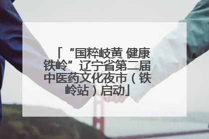 “国粹岐黄 健康铁岭”辽宁省第二届中医药文化夜市（铁岭站）启动