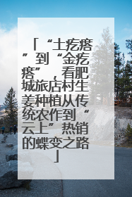 “土疙瘩”到“金疙瘩”，看肥城旅店村生姜种植从传统农作到“云上”热销的蝶变之路