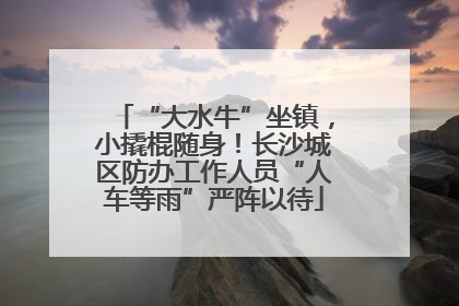 “大水牛”坐镇，小撬棍随身！长沙城区防办工作人员“人车等雨”严阵以待