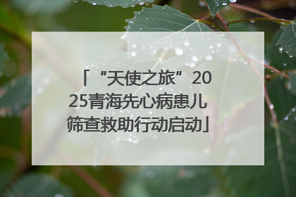 “天使之旅”2025青海先心病患儿筛查救助行动启动