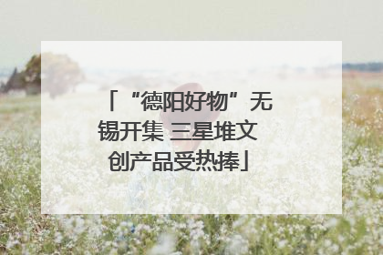 “德阳好物”无锡开集 三星堆文创产品受热捧