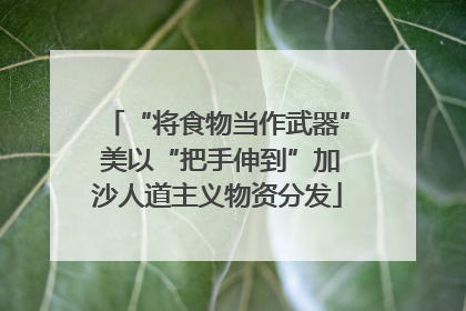 “将食物当作武器” 美以“把手伸到”加沙人道主义物资分发