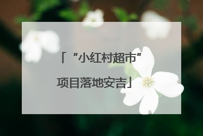 “小红村超市”项目落地安吉