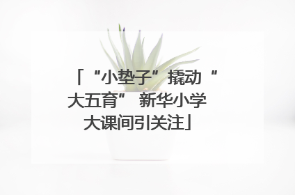 “小垫子”撬动“大五育” 新华小学大课间引关注