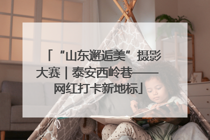 “山东邂逅美”摄影大赛｜泰安西岭巷——网红打卡新地标
