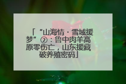 “山海情・雪域援梦”②：鲁中肉羊高原零伤亡，山东援藏破养殖密码