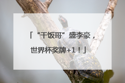 “干饭哥”盛李豪，世界杯奖牌+1！