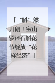 “斛”然开朗！宝山罗泾石斛花节绽放“花样经济”