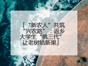 “新农人”共筑“兴农路”：返乡大学生“桃三代”让老树结新果