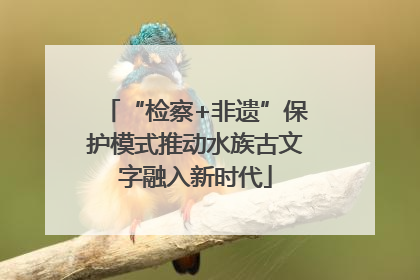 “检察+非遗”保护模式推动水族古文字融入新时代