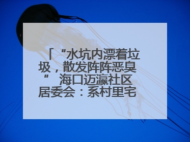 “水坑内漂着垃圾，散发阵阵恶臭” 海口迈瀛社区居委会：系村里宅基地，将派人打捞垃圾