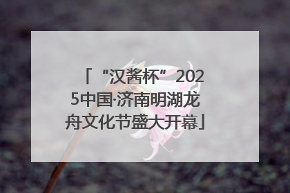 “汉酱杯”2025中国·济南明湖龙舟文化节盛大开幕