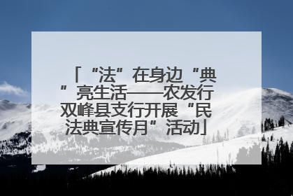 “法”在身边“典”亮生活——农发行双峰县支行开展“民法典宣传月”活动