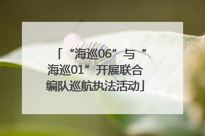 “海巡06”与“海巡01”开展联合编队巡航执法活动