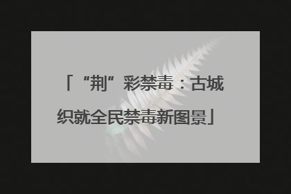 “荆”彩禁毒：古城织就全民禁毒新图景