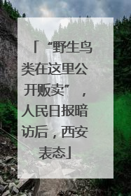 “野生鸟类在这里公开贩卖”，人民日报暗访后，西安表态
