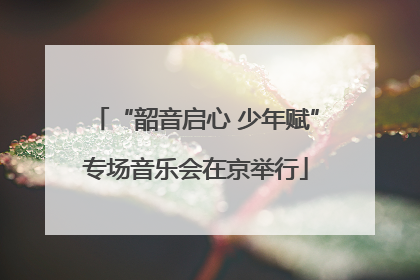 “韶音启心 少年赋”专场音乐会在京举行