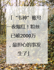 “韦神”账号一夜爆红！粉丝已破2000万，最担心的事发生了