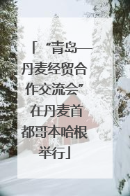 “青岛—丹麦经贸合作交流会” 在丹麦首都哥本哈根举行