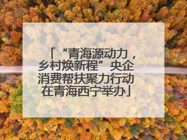 “青海源动力，乡村焕新程”央企消费帮扶聚力行动在青海西宁举办