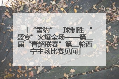 “雪豹”一球制胜 “盛宴”火爆全场——第二届“青超联赛”第二轮西宁主场比赛见闻