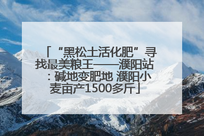 “黑松土活化肥”寻找最美粮王——濮阳站：碱地变肥地 濮阳小麦亩产1500多斤