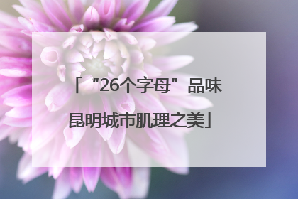 “26个字母”品味昆明城市肌理之美