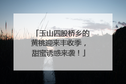 玉山四股桥乡的黄桃迎来丰收季，甜蜜诱惑来袭！