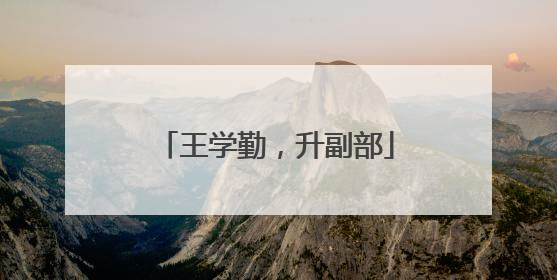 王学勤，升副部
